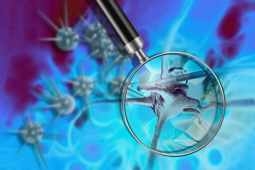 Masnoće trebaju našem organizmu 