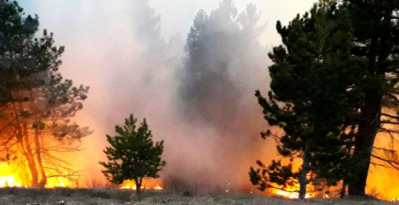 Četiri požara u Hercegovini