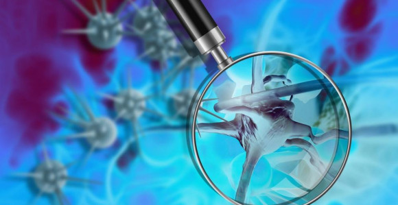 Masnoće trebaju našem organizmu 