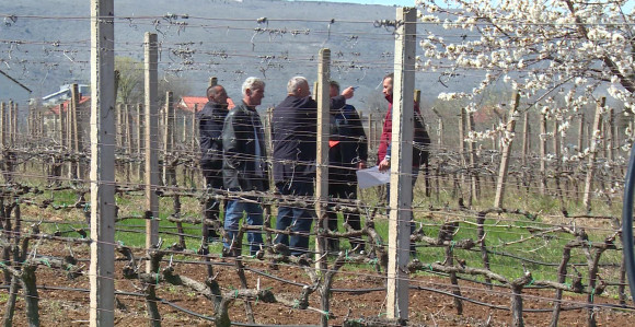 Zabili nam kolac u ognjište i srce
