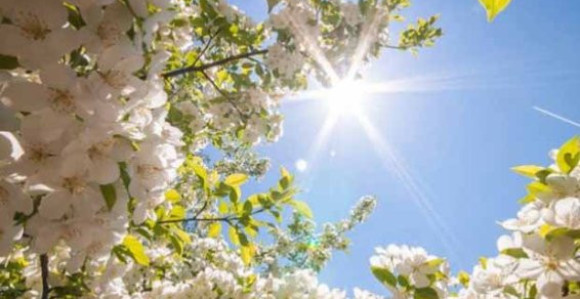 Danas toplije vrijeme u BiH