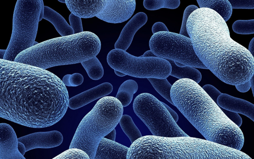 Први случај бактерија отпорних на све антибиотике