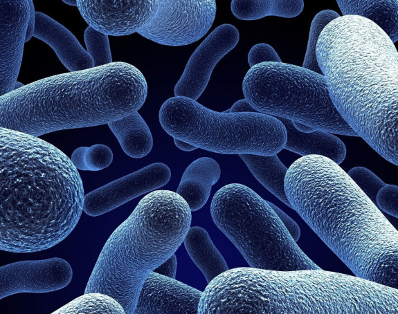 Prvi slučaj bakterija otpornih na sve antibiotike