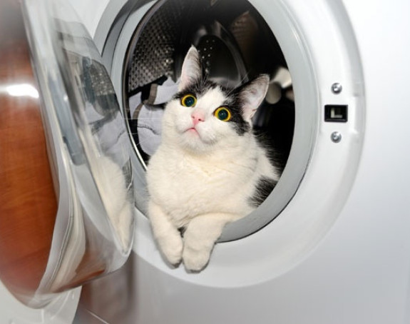 Мачак преживио прање у веш машини!