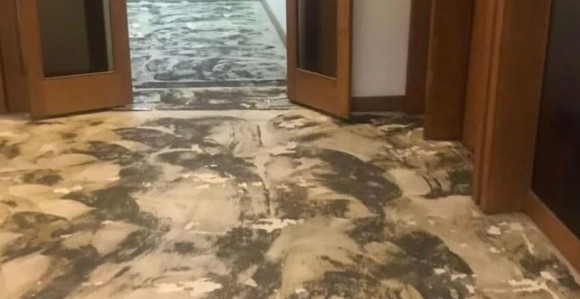 Стижу нови теписи у парламент БиХ