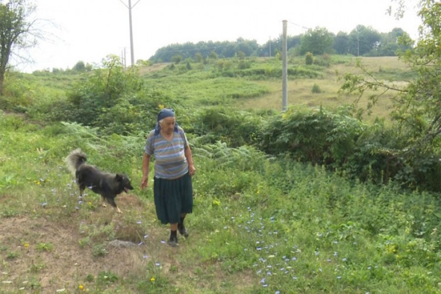 Medvjed svaki dan "posjećuje" selo Grdanovci
