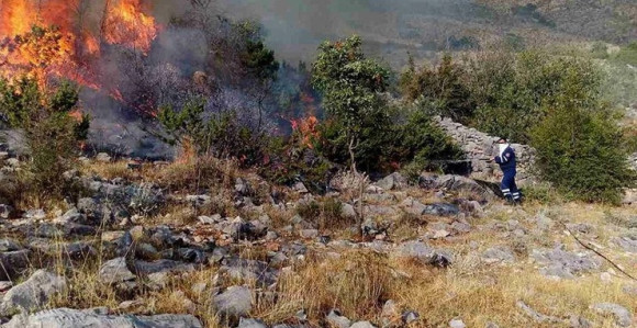 Šumski požar kod Konjica, traži se pomoć OS BiH