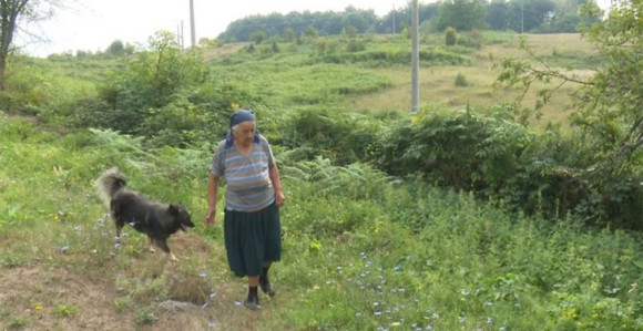 Medvjed svaki dan "posjećuje" selo Grdanovci