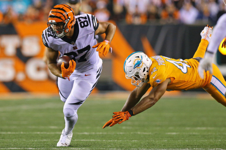 NFL: Delfini udavljeni u Sinsinatiju!