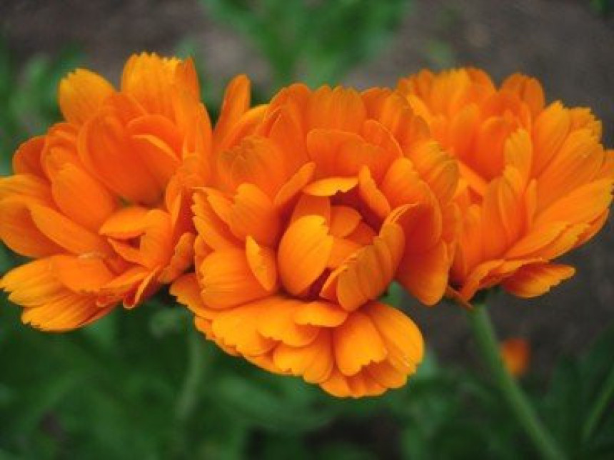 Sunčano i toplo vrijeme u BiH s malo oblaka