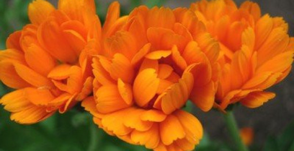 Sunčano i toplo vrijeme u BiH s malo oblaka