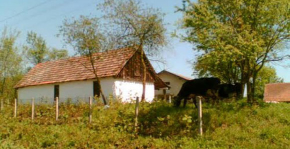 Seoska imanja u BiH daju se u bescijenje        