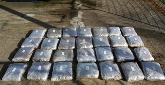 Pronađeno 500 kg marihuane
