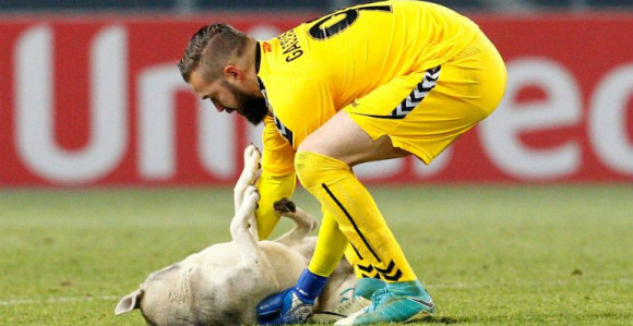 Golman Vardara likuje zbog ispadanja Škendije!