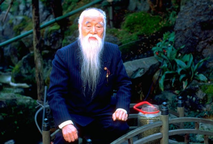 Malo japanske mudrosti za kraj dana