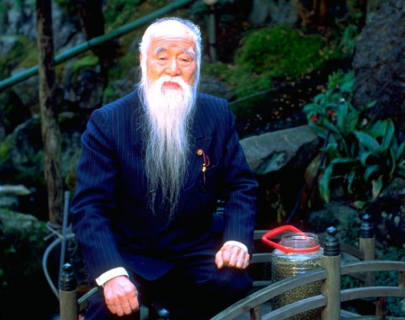 Malo japanske mudrosti za kraj dana