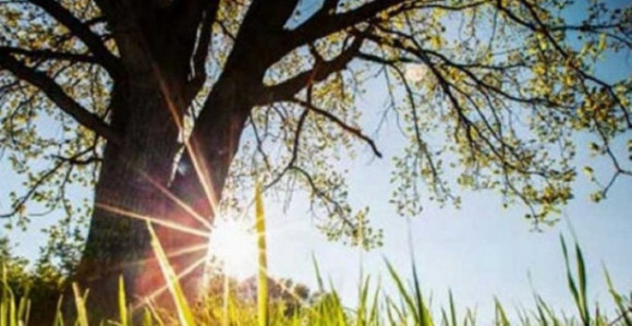 Danas sunčano, veoma toplo, ponegdje sparno