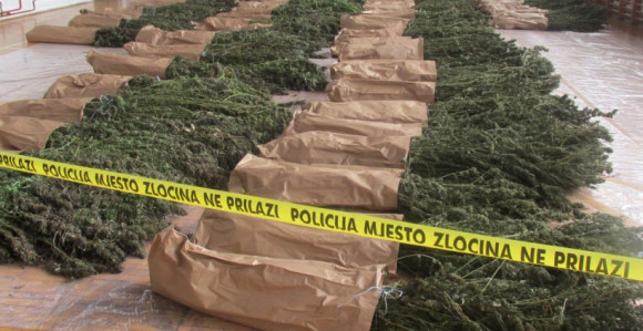 Pljenidba 739 kg marihuane