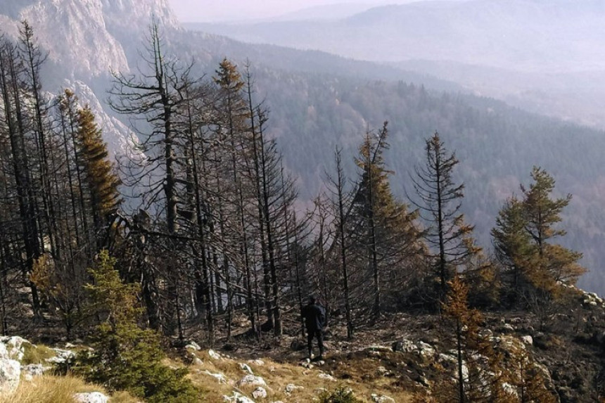 Ватра на Романији угашена након седам дана