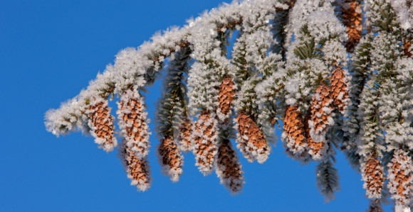 Први дан 2017. ће бити веома хладан